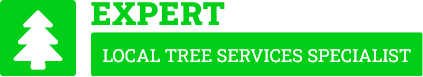 Auckland Arborist - Tree Removal Auckland